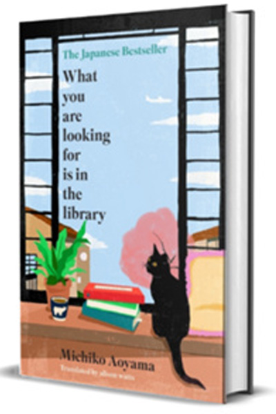 What You Are Looking For Is In The Library image 3