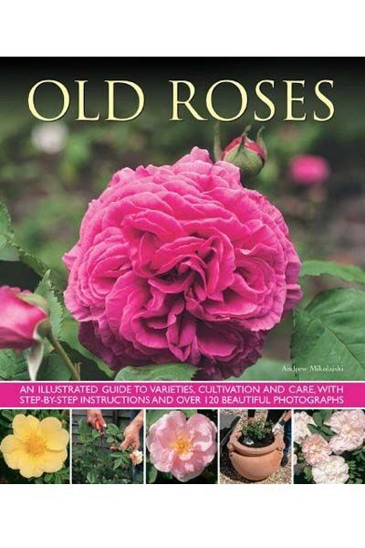 Old Roses