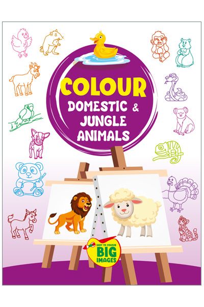 Colour Domestic & Jungle Animals