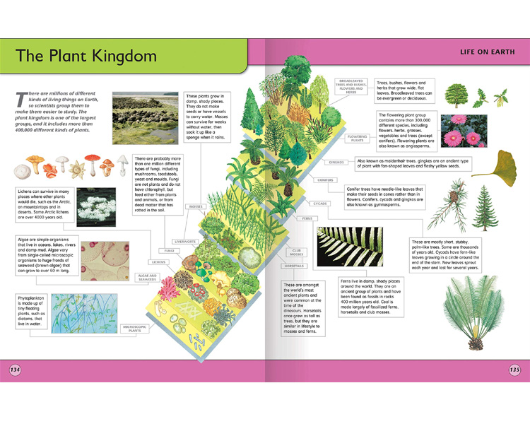 Encyclopedia of Knowledge image 3
