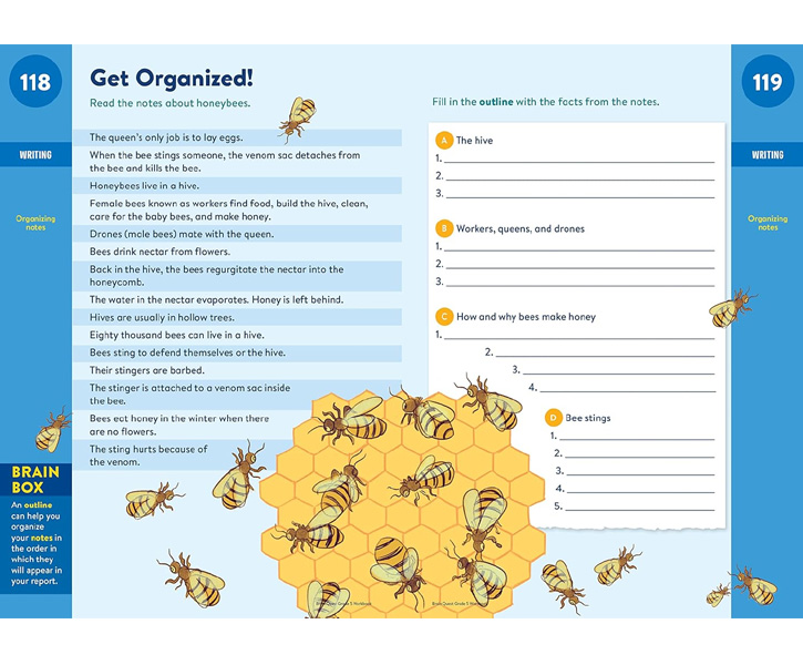 Brain Quest Workbook:5th Grade (10-11) image 3