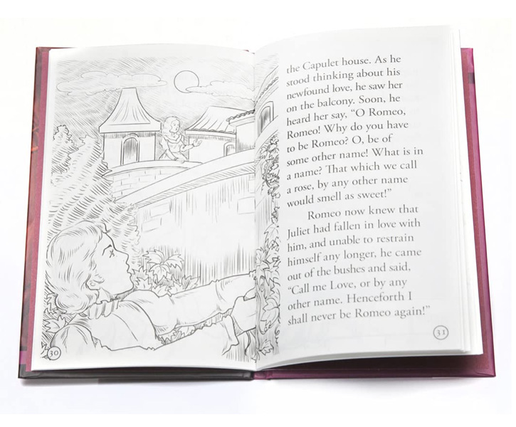 Childrens Shakespeare Stories (Set Of Box 20) image 3