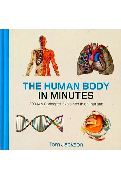 Human Body In Minutes