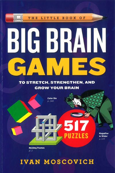 Little Book Of Big Brain Games