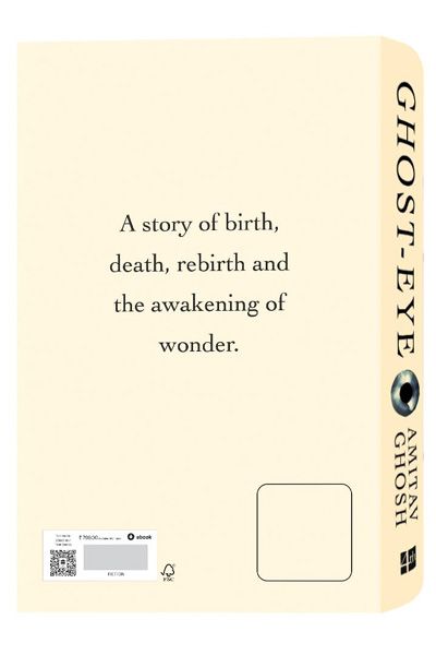 Ghost-eye: A Novel