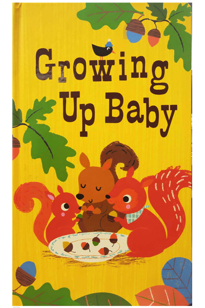Growing Up Baby (Oversized) Board Book