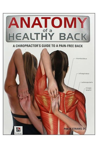 Anatomy of a Healthy Back