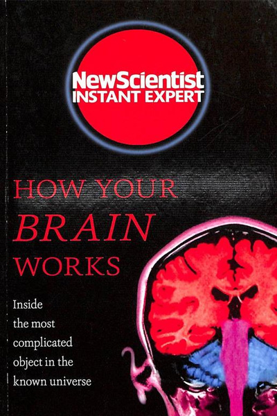 How Your Brain Works