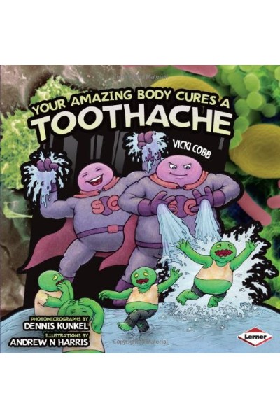 Your Amazing Body Cures a Toothache