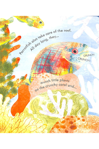 zzzUsborne: Peep Inside- A Coral Reef (Board Book) image 2