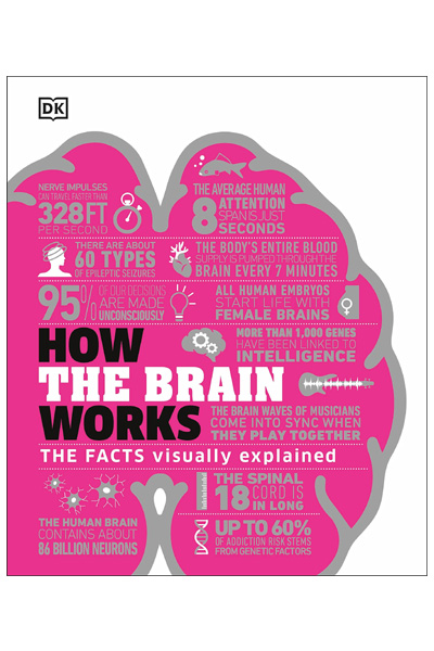 How the Brain Works: The Facts Visually Explained