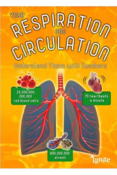 Your Respiration and Circulation