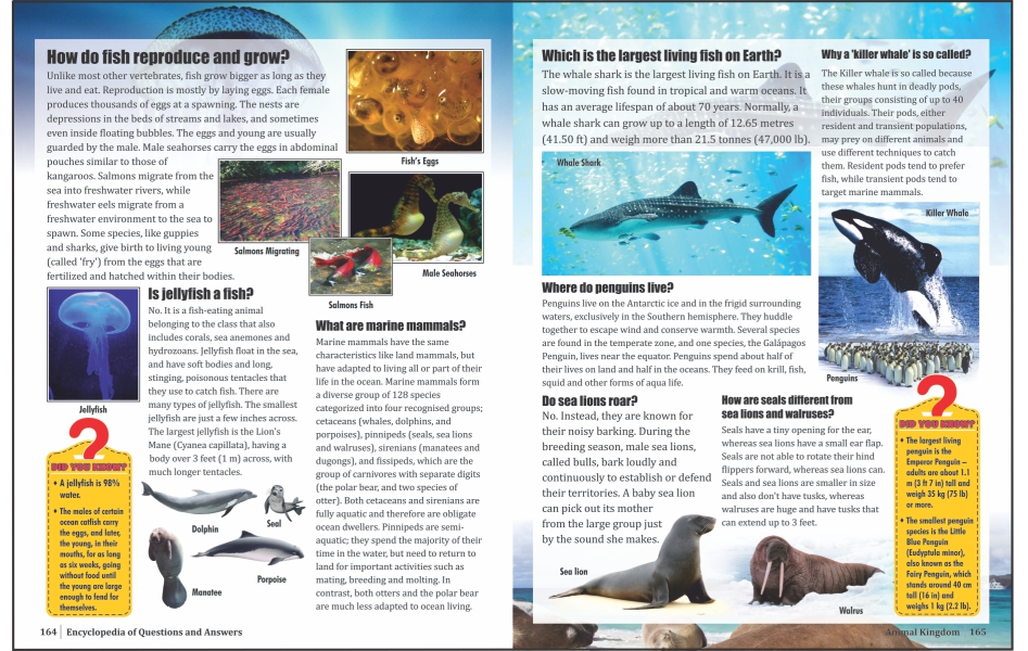 Encyclopedia of Questions & Answers image 4