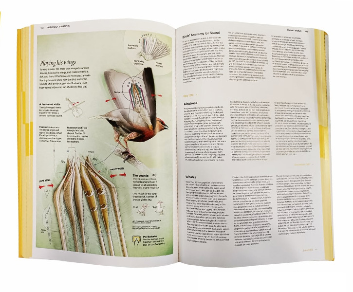 National Geographic Infographics image 2
