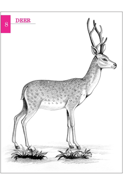 Simple Guide to Pencil Shading image 2