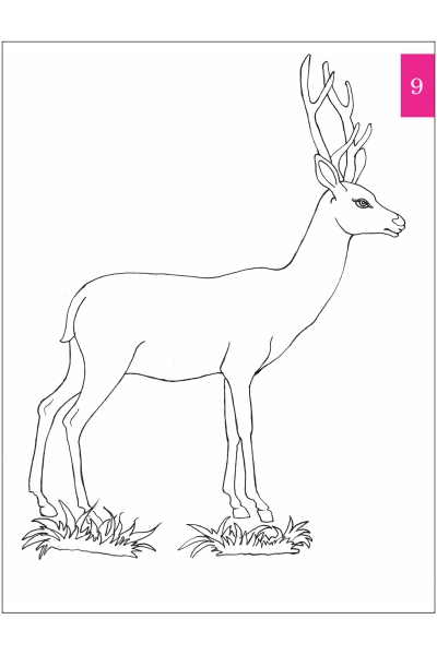 Simple Guide to Pencil Shading image 3